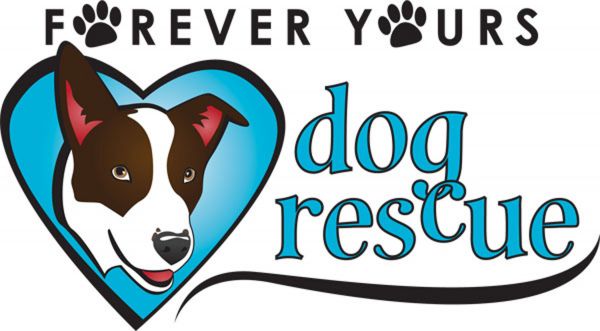 Forever Yours Dog Rescue
