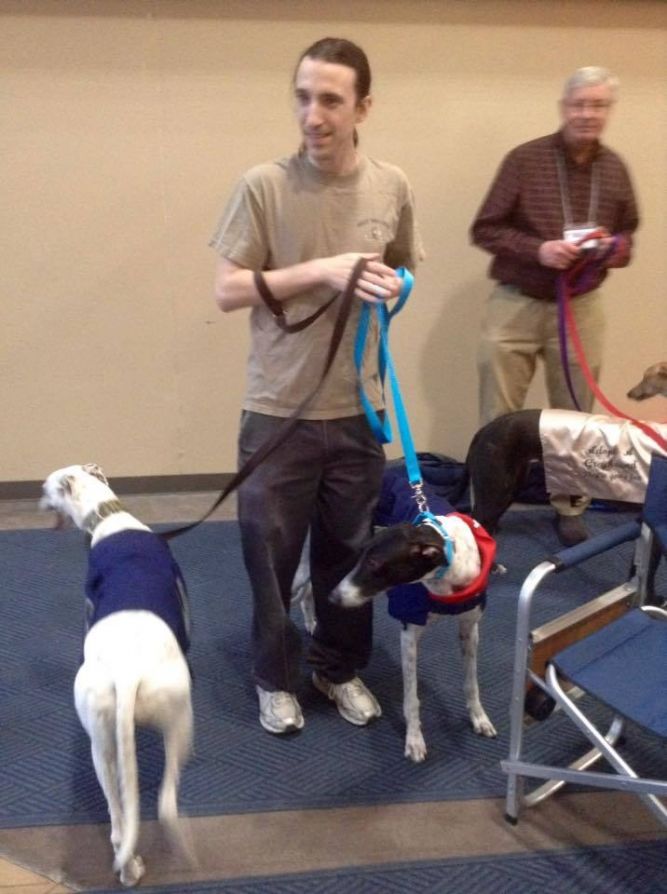 G.R.A.C.E. Greyhound Retirement Adoption Care and Education