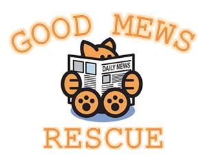 Good Mews Rescue