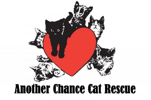 Another Chance Cat Rescue