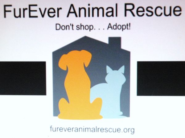 FurEver Animal Rescue