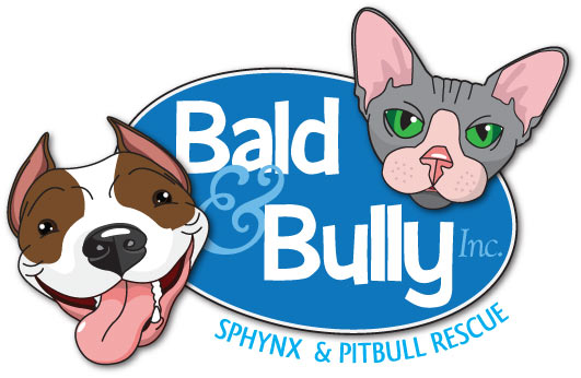 Bald and Bully, Inc.