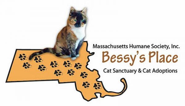 Bessy's Place Cat Sanctuary & Cat Adoption