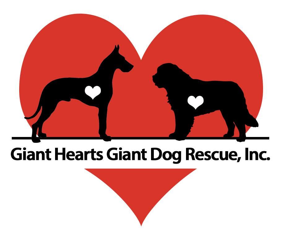 Giant breed hot sale rescue