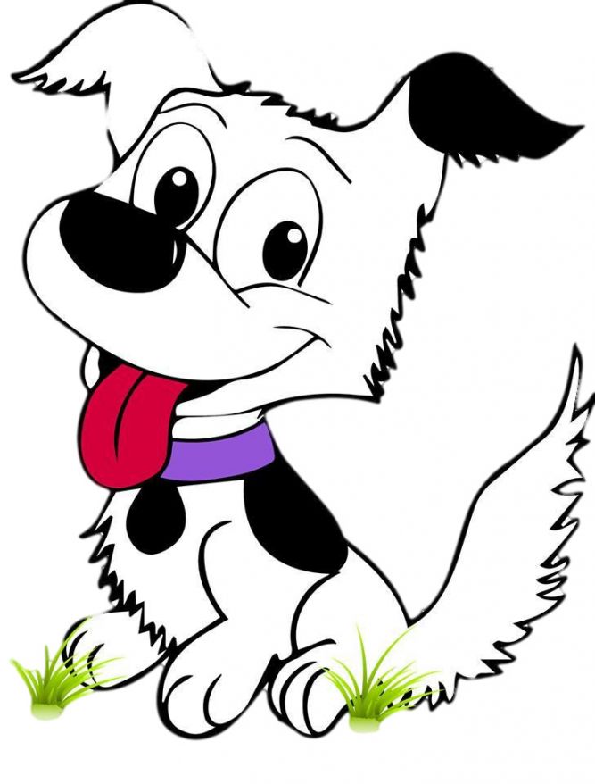 Grassroots Animal Rescue