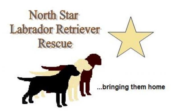 North Star Lab Rescue