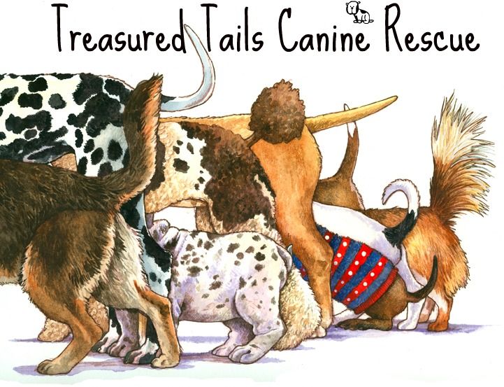 Treasured Tails Canine Rescue