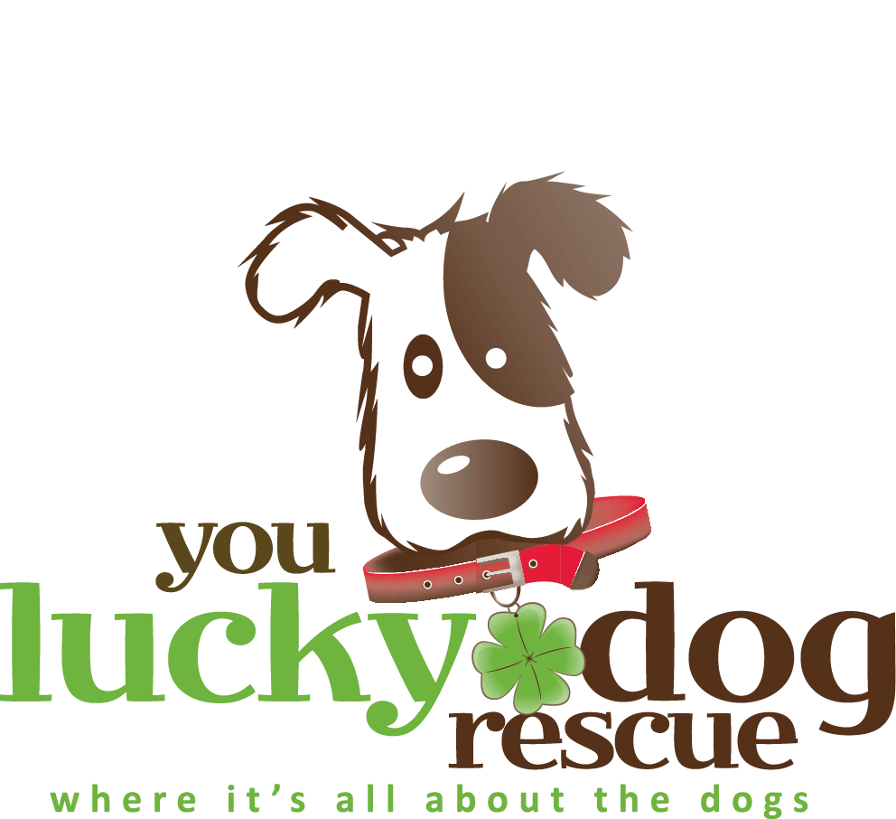 You Lucky Dog Rescue