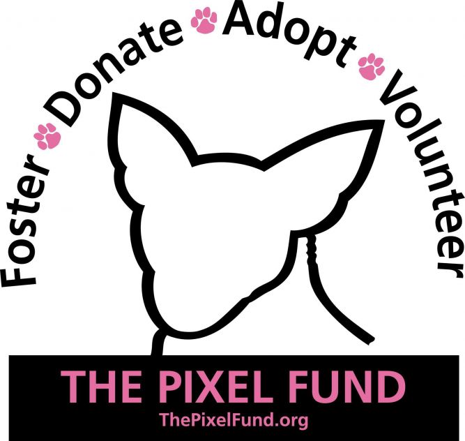 The Pixel Fund