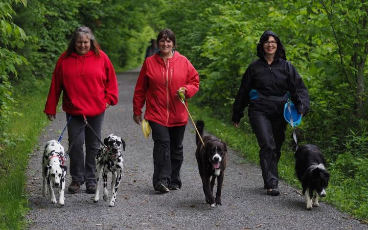 Our 2017 dog walk fundraiser.