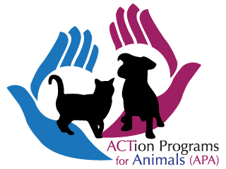 Pets for Adoption at Action Programs for Animals, in Las Cruces, NM |  Petfinder