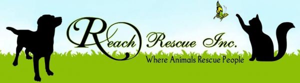 REACH Rescue Inc.