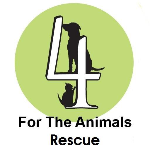 4 The Animals Rescue