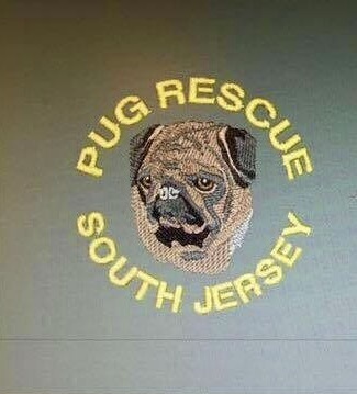 Pug Rescue Adoption Assistance of South Jersey