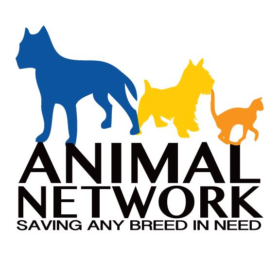 Pets For Adoption At Animal Network In Las Vegas Nv Petfinder