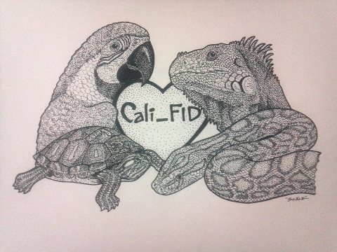 Cali_FID Parrot & Exotics Rescue Sanctuary