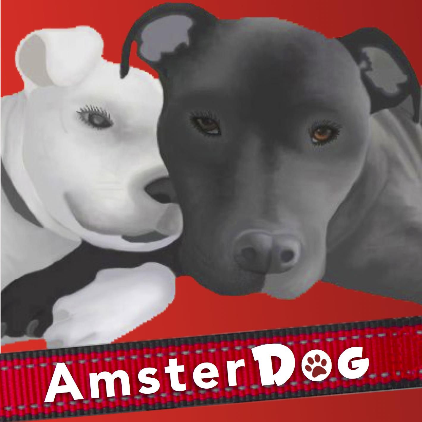 AmsterDog