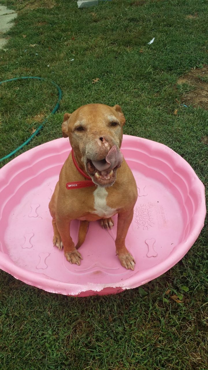 The REAL Jimmy Durante in the girlie pool