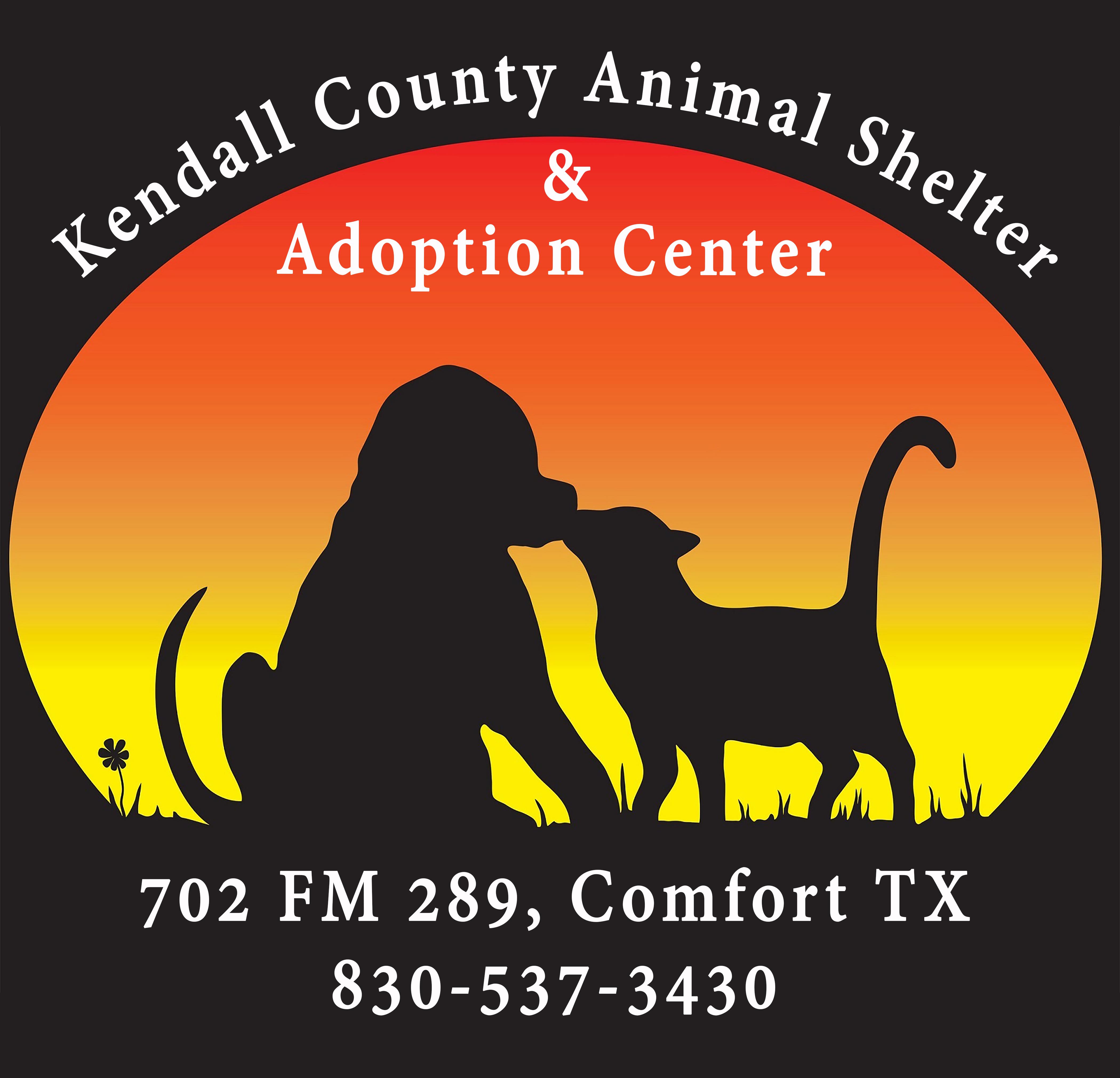 County adoption hot sale center