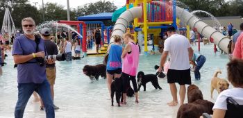 Having fun at the waterpark