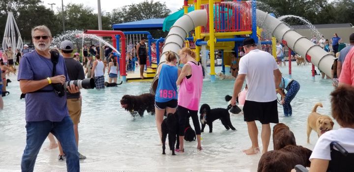 Having fun at the waterpark