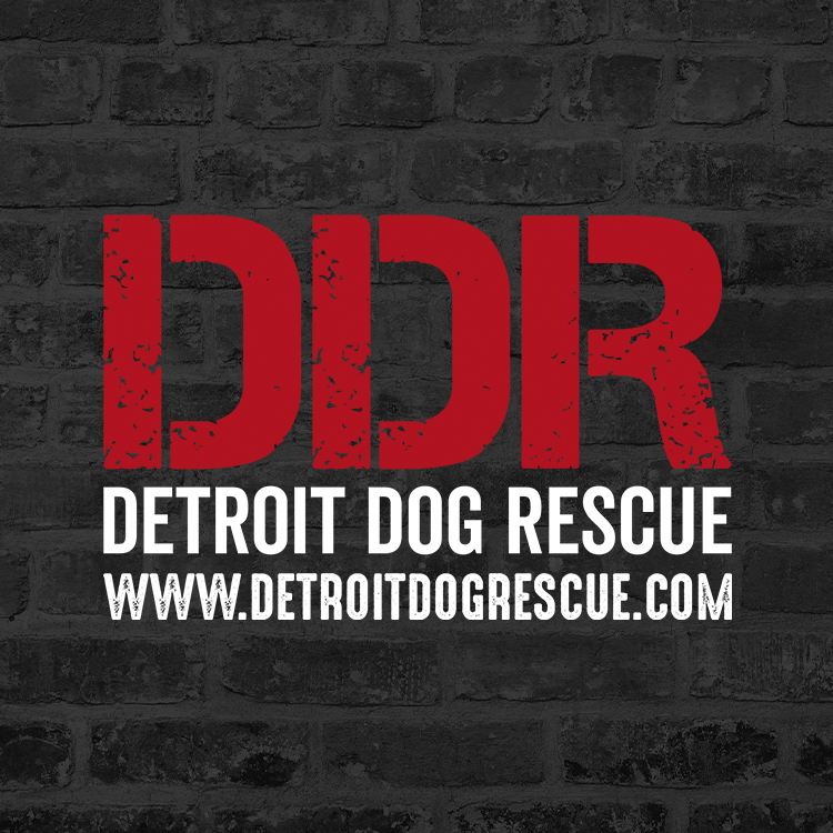 Detroit Dog Rescue