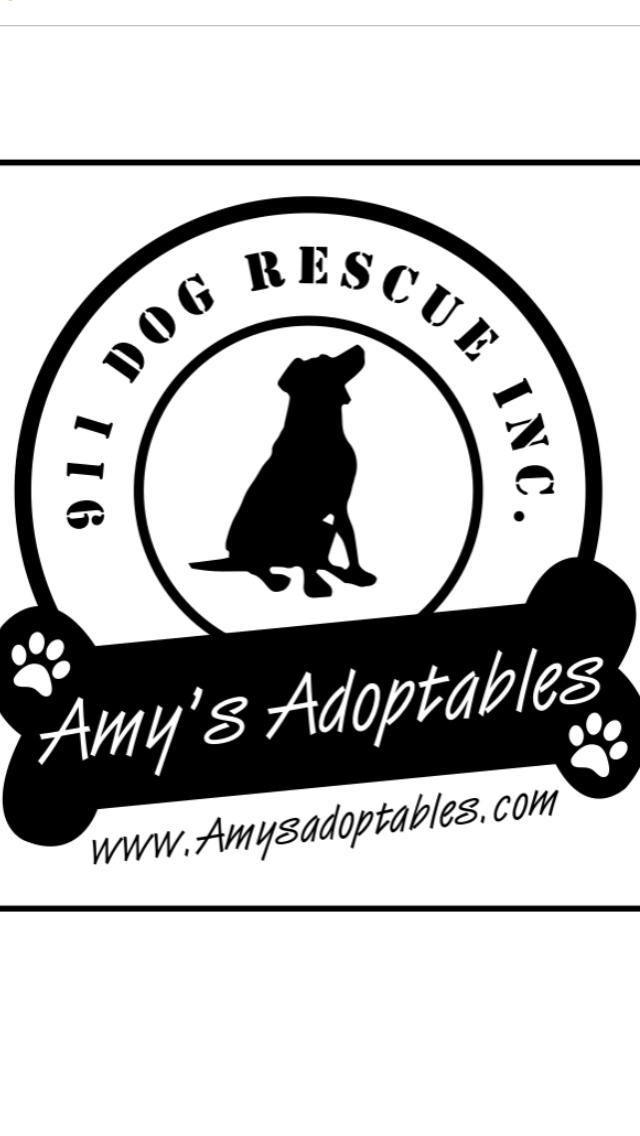 911 Dog Rescue Inc.