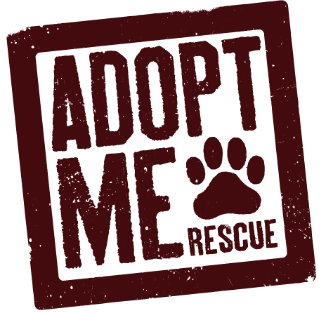 ADOPT ME RESCUE - 11 Photos & 24 Reviews - Studio City, California - Animal  Shelters - Phone Number - Yelp