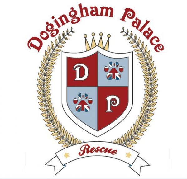 Dogingham Palace Rescue