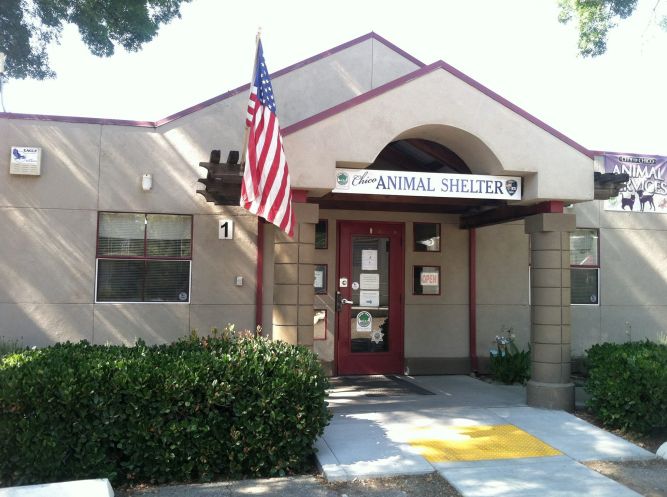 City of Chico Animal Shelter