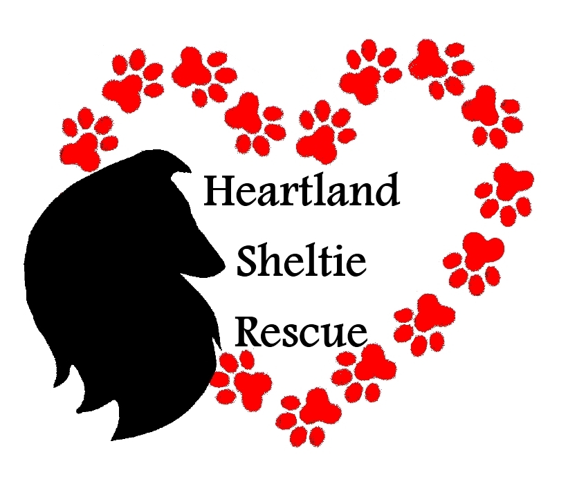 Heartland Sheltie Rescue