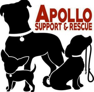 Apollo Support & Rescue