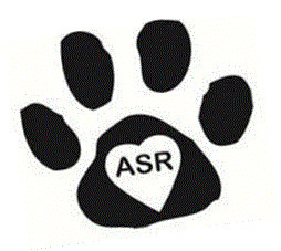 Apollo Support & Rescue