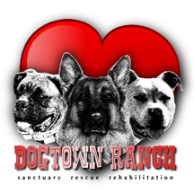 Dogtown Ranch Sanctuary, Rescue & Rehab Center