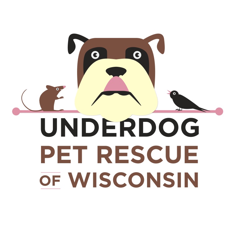 Petfinder best sale underdog rescue