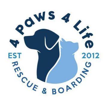 Pets Available For Adoption - Paws For Life K9 Rescue