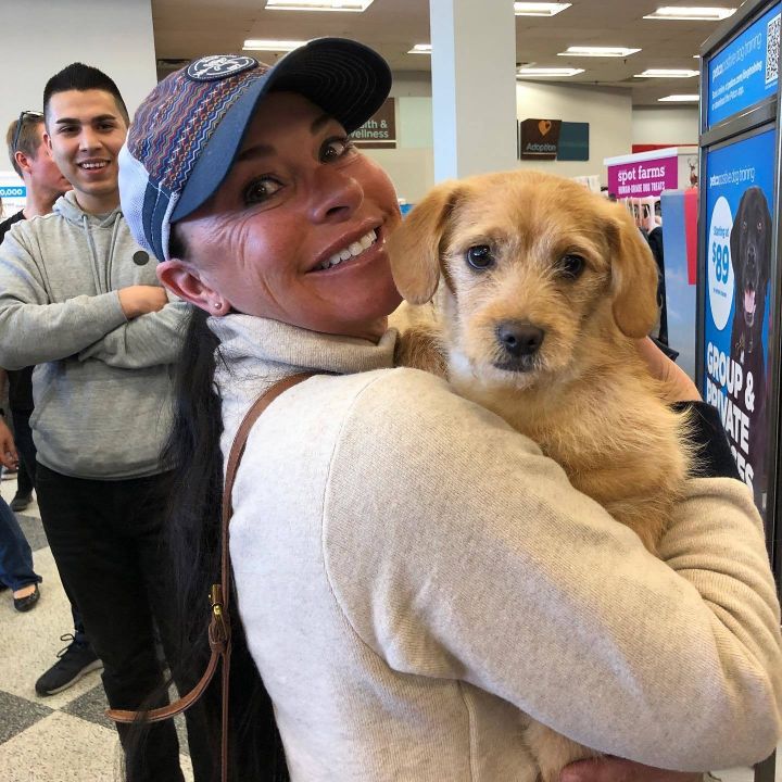 sedalia colorado animal shelter