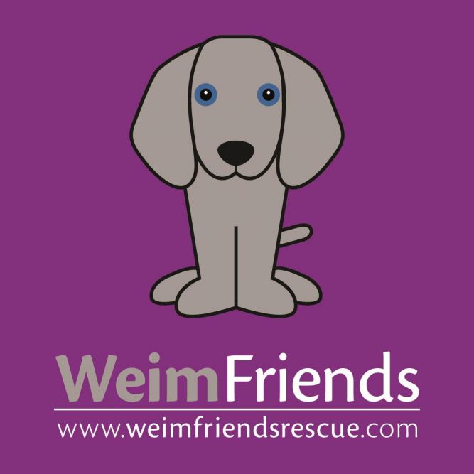 Weim Friends Rescue
