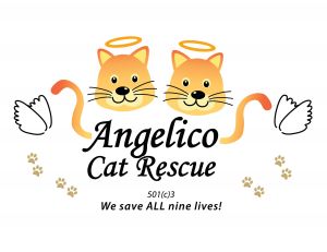Angelico Cat Rescue, Inc.