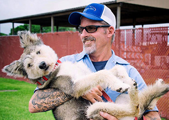 City of Nassau Bay Animal Control