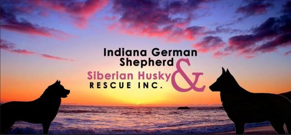 Indiana GSD & Siberian Husky Rescue, Inc