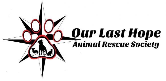 Our Last Hope Animal Rescue Society