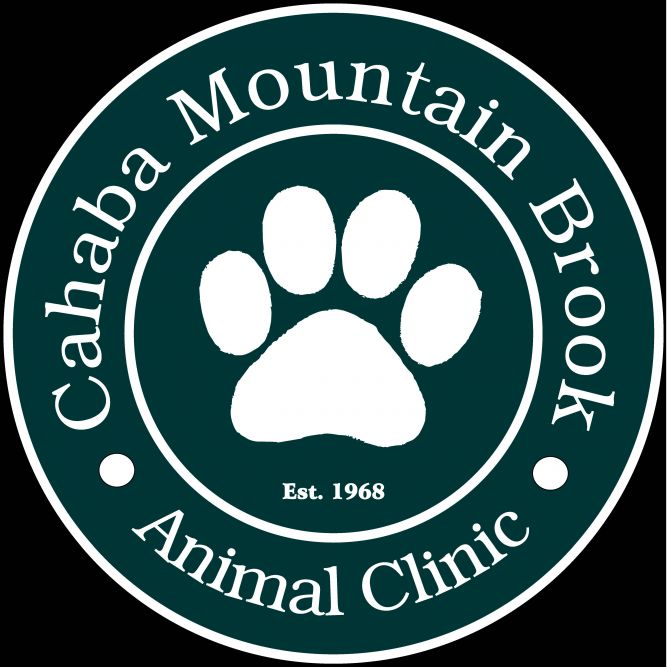 Cahaba Mountain Brook Animal Clinic Adoptions