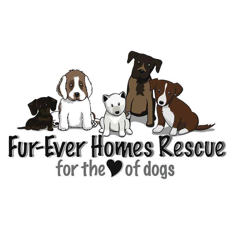 Fur-Ever Homes Rescue Society