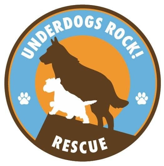 Petfinder underdog hot sale rescue