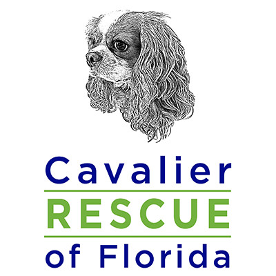 Cavalier Rescue of Florida, Inc.