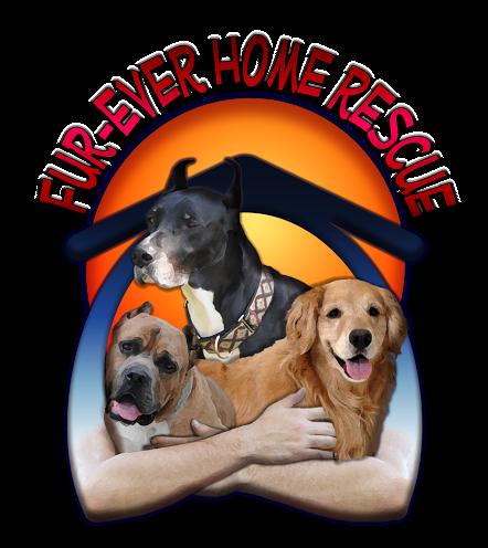 Fur-Ever Home Rescue