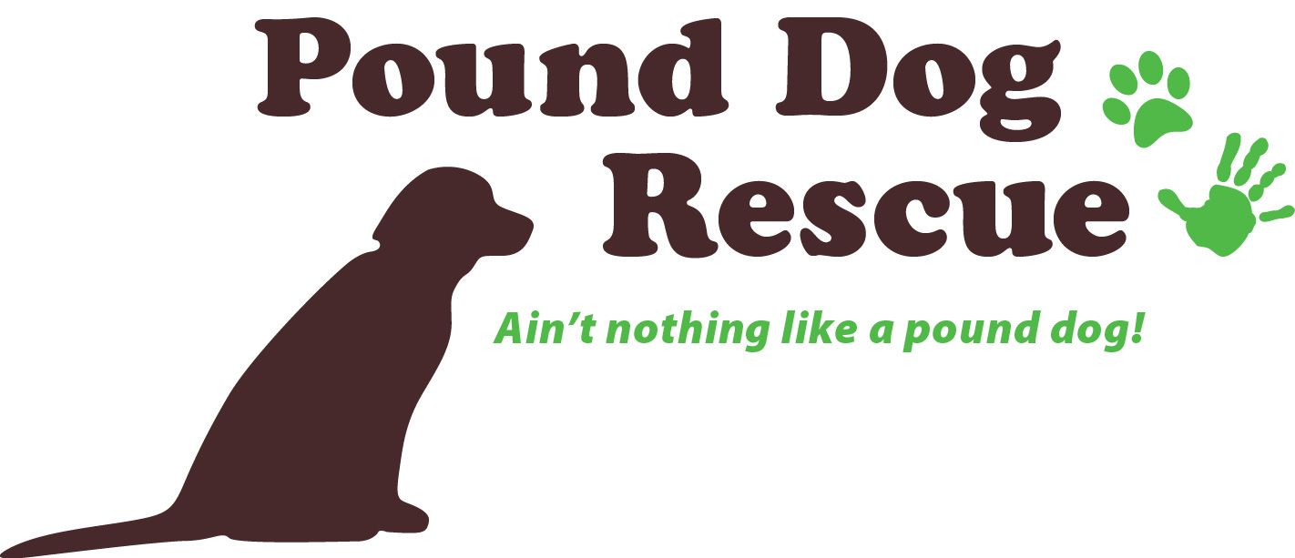 Pets for Adoption at Pound Dog Rescue 