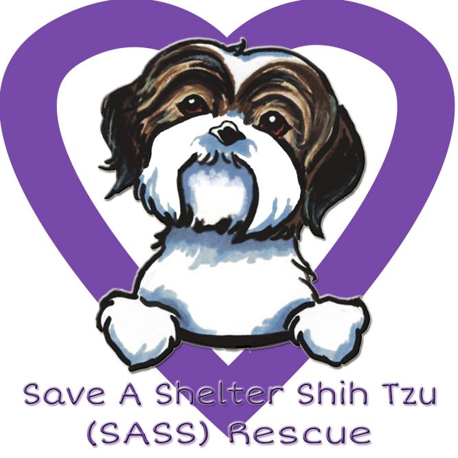 Save a Shelter Shih Tzu (S.A.S.S.) Rescue