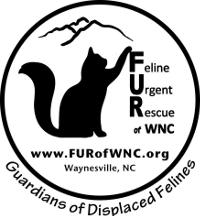 Feline Urgent Rescue of Western North Carolina